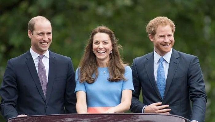 Kate Middleton having separate word with overly stubborn William and Harry