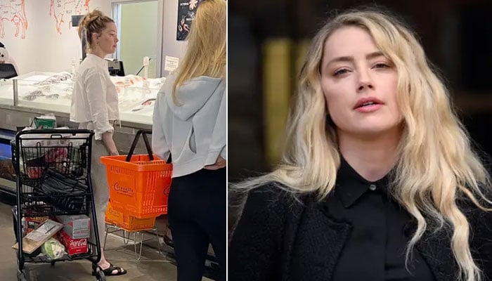 Amber Heard chats up with fishmonger while grocery shopping: see pic