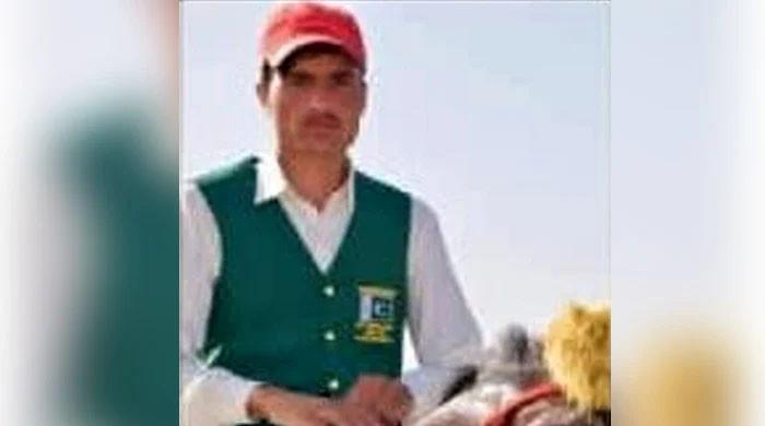 Pakistani swimmer goes missing in Hungary  Pakistani swimmer goes missing in Hungary