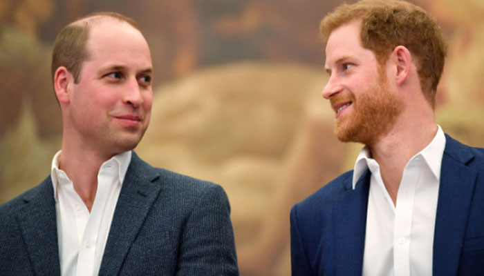 Prince William still loves his flesh and blood Prince Harry after Oprah stab: Insider