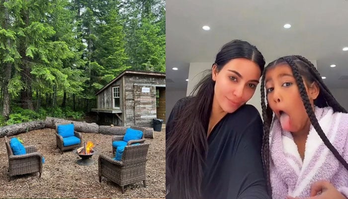 Kim Kardashian hosts spooky wilderness-themed birthday party for North: pics