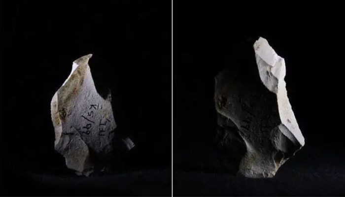AI helps scientists find one-million-year old evidence of fire - Vimarsana News