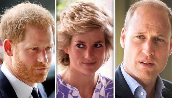 Prince William and Harry fallout - Diana would be mortified, says royal author