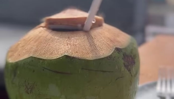 Priyanka Chopra shares loved-up vacation moments with Nick Jonas