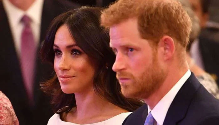 Prince Harry, Meghan Markle hire leftist director for Netflix docu-series