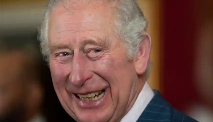 Prince Charles will not be questioned over cash bag from Arab billionaire: Officials