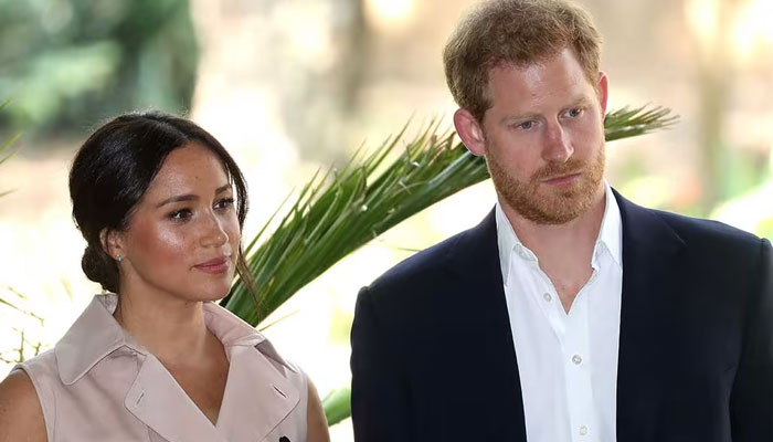 Prince Harry, Meghan Markle victim language causes pain in difficult world