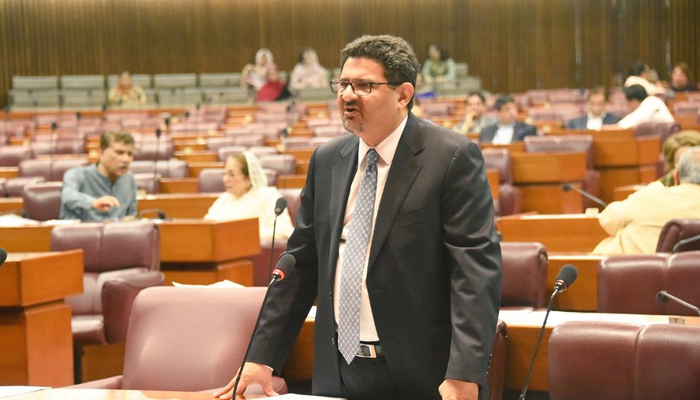 Finance Minister Miftah Ismail speaks on the floor of the National Assembly in Islamabad, on June 10, 2022. — Twitter/NAofPakistan