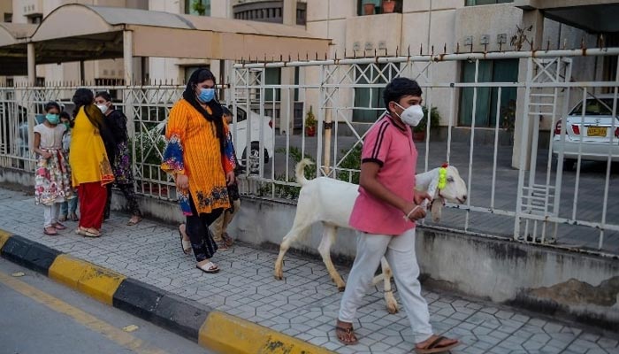 Children wearing facemasks walk with a goat in Rawalpindi on July 22. — AFP/File