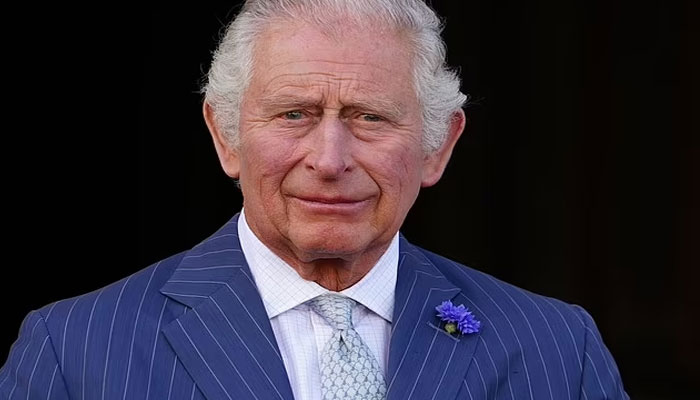Prince Charles’ charity is after new audit manager for better use of funds: reports