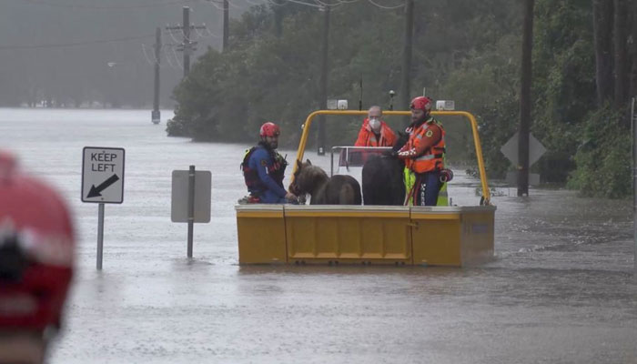 An emergency crew rescues two ponies from a flooded area in Milperra, Sydney metropolitan area, Australia July 3, 2022 in this screen grab obtained from a handout video. — Reuters