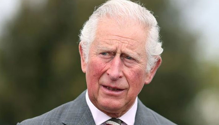 Prince Charles letters reveal he didnt take a back seat in fundraising