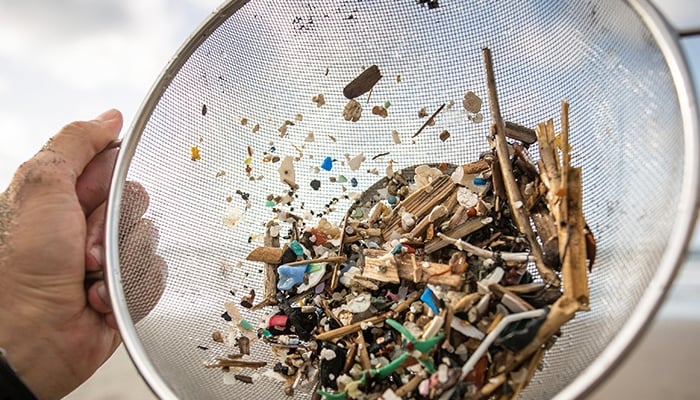 Image showing pieces of plastic in a collander. — Desiree Martin / AFP / Getty Images