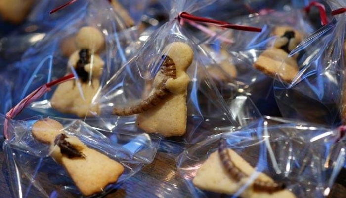 Image showing snacks made with caterpillars and other insects. — Reuters