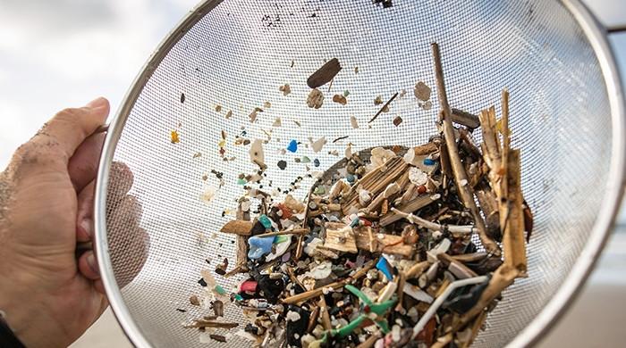 'They're everywhere': microplastics in oceans, air and human body
