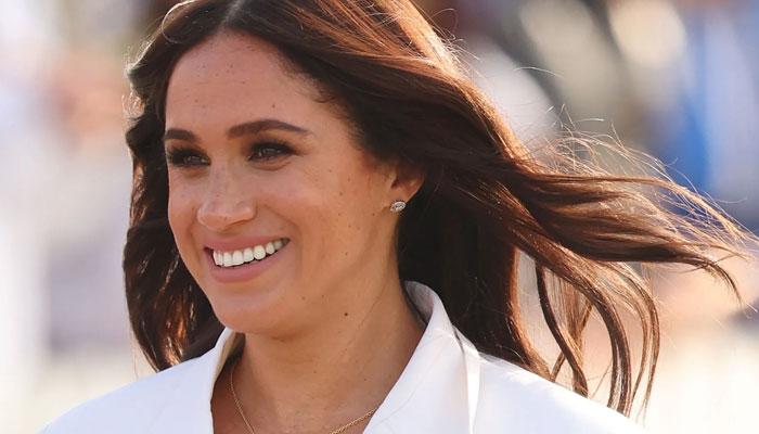 Meghan Markle slammed for dragging Prince Harry like a performing seal