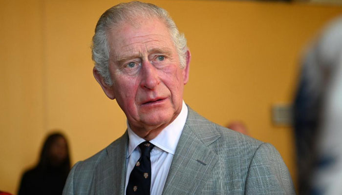 Prince Charles is less Crown Prince and more Clown Prince: slams news host