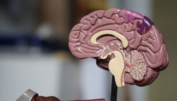 Pasien COVID lebih mungkin mengembangkan penyakit otak serius di kemudian hari