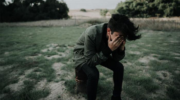 l_425990_123506_updates.jpg