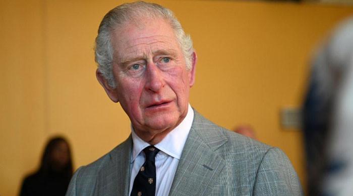 Prince Charles 'is less Crown Prince and more Clown Prince': slams news host