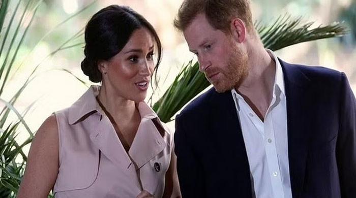 Netflix out for Prince Harry, Meghan Markle's 'pint of blood'
