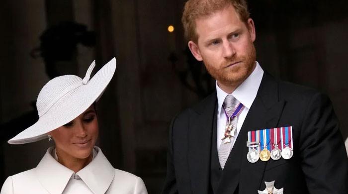 Prince Harry, Meghan Markle’s Netflix plans ‘smell of desperation’