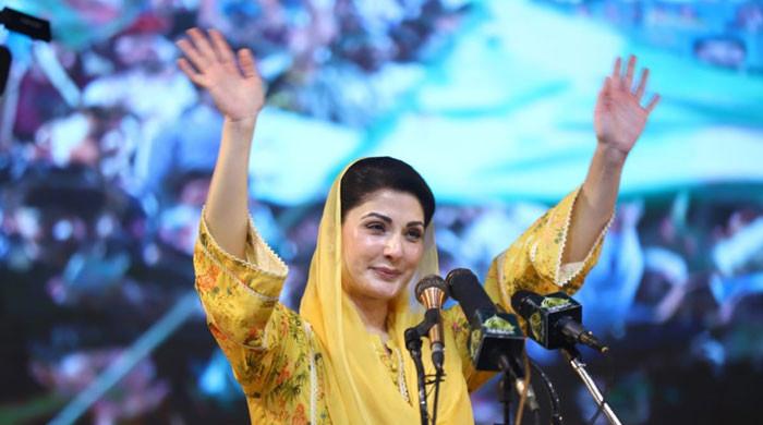 Maryam Nawaz says July 17 by-polls 'war for Punjab's development'