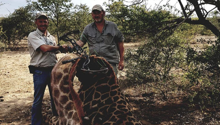 Riaan Naude stands next to a giraffe he hunted.—Instagram/@pro_hunt_africa