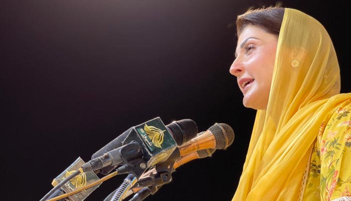 PML-N Vice President Maryam Nawaz addresses supporters in Lahore on July 4, 2022. — Twitter/@updates_pmln