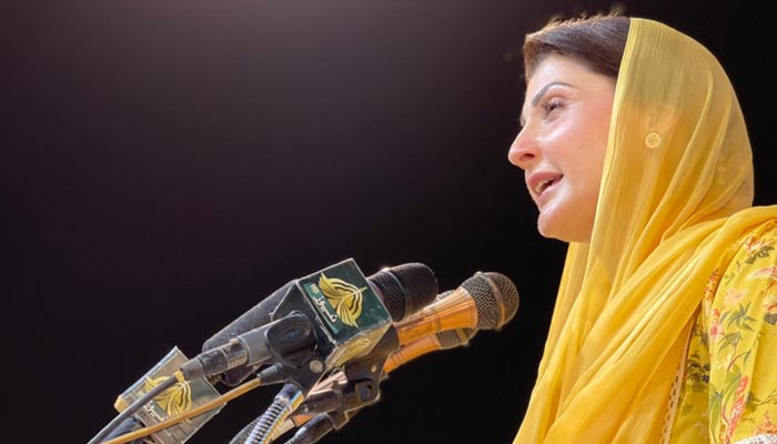 PML-N Vice President Maryam Nawaz addresses supporters in Lahore on July 4, 2022. — Twitter/updates_pmln