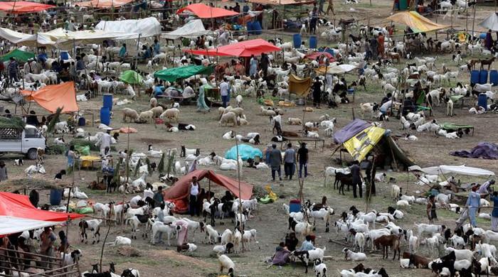 NCOC issues fresh guidelines for Eid ul Adha as COVID cases rise