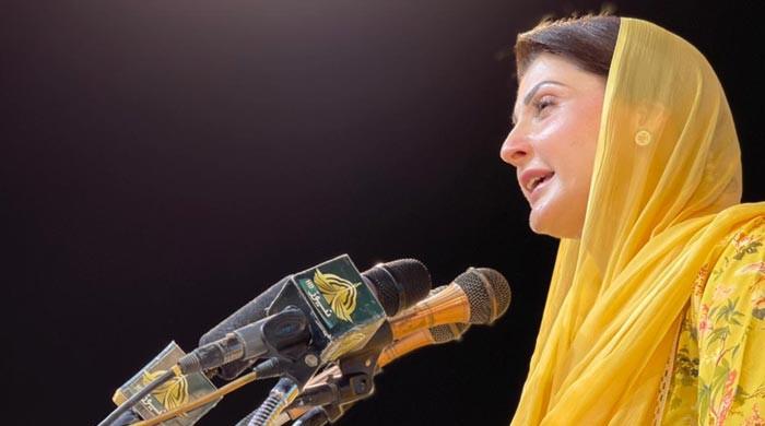 Provide free electricity to KP instead of dragging matters to court: Maryam tells PTI