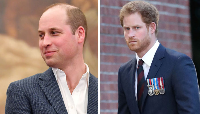Prince Harry ‘has it easy’ compared to Prince William: report