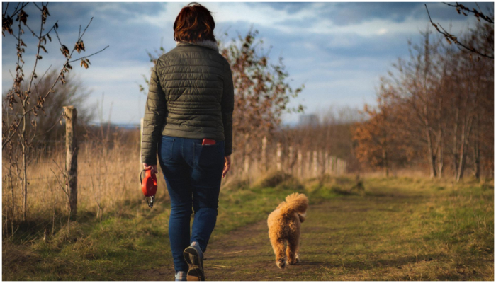 Representational image of a woman walking her dog in the park. — Pixabay/ Will Eames