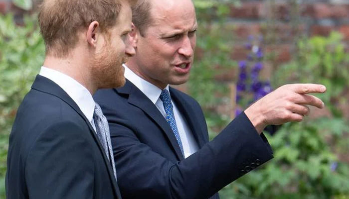 Prince William asked to pick up the phone, show leadership with Harry