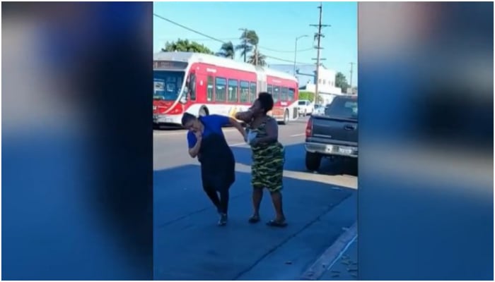 Image showing India Duerson smacking South Tacos vendor Bertha. — Screengrab via CBS Los Angeles