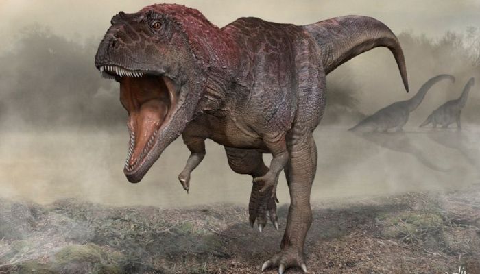 An artists reconstruction of the Cretaceous Period meat-eating dinosaur Meraxes gigas, whose fossils including a nearly complete skull were unearthed in Argentina?s northern Patagonia region.  Meraxes, which lived about 90 million years ago, is estimated at about 36-39 feet (11-12 meters) long and about 9,000 pounds (4 metric tons).  —Reuters