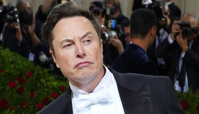 Elon Musk weighs in on twins’ birth with ‘underpopulation crisis’ joke