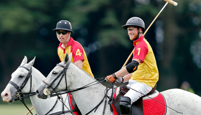 Prince William, Harry tense Polo match body language showed rift: Expert