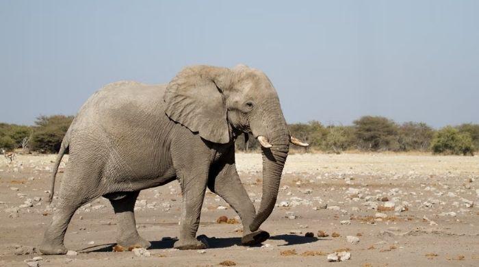 l_426700_114607_updates.jpg