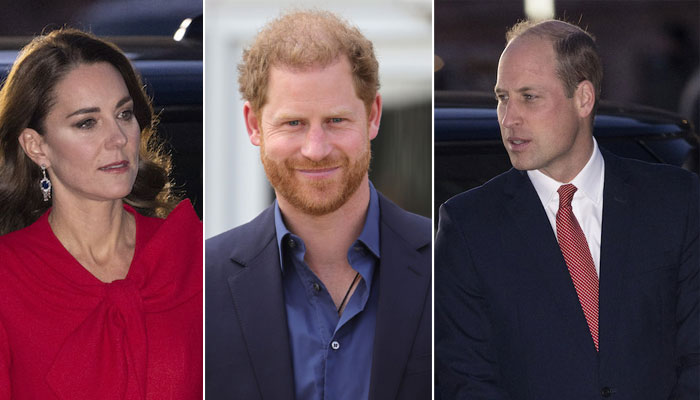 Prince William, Kate Middleton in ‘fight of their lives’ against Prince Harry