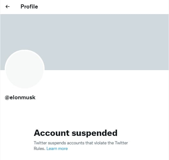 Screengrab showing a suspended Twitter account.