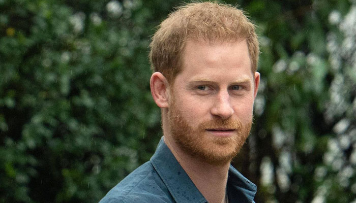 Ginger Windsor Prince Harry not tired of pouring cold buckets on royals