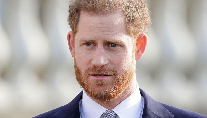 How is Harry invited to UN? fumes royal expert: What will he change?