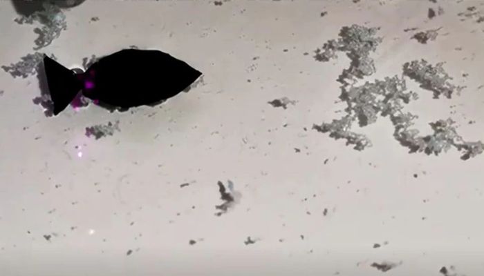 A fish-shaped robot, which researchers say can suck up microplastics in shallow water, moves under the direction of a near-infrared (NIR) light, in this screen grab taken from a handout video provided to Reuters July 12, 2022. — Reuters