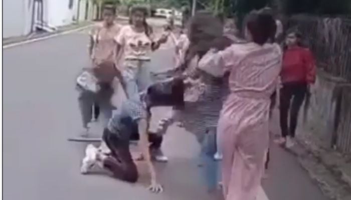 One girl had a wooden baton in her hand which she used to physically assault another girl.— Screengrab via Instagram/Hindustan Times