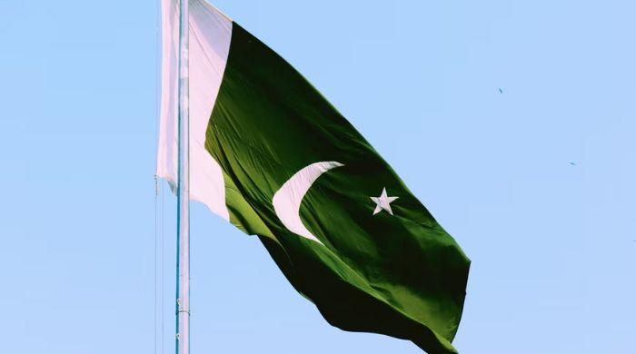 The game of cops and robbers