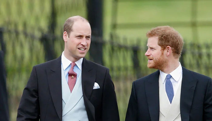 Prince William afraid Harry will leak secret peace talks in Oprah 2.0: Expert