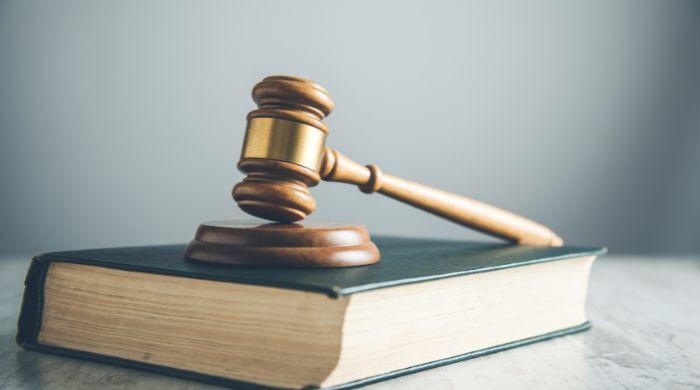 Difference between constitution makers and interpreters