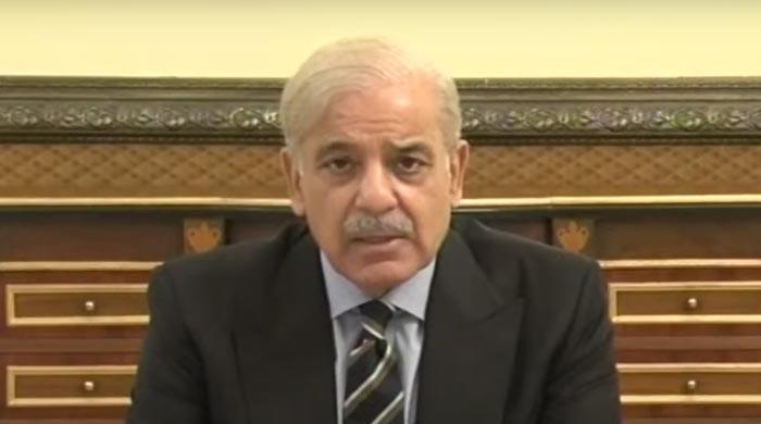 PM Shehbaz slashes petrol price by Rs18.50 per litre for remaining month of July